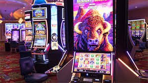 dito777 online gaming platform interface for Philippines players